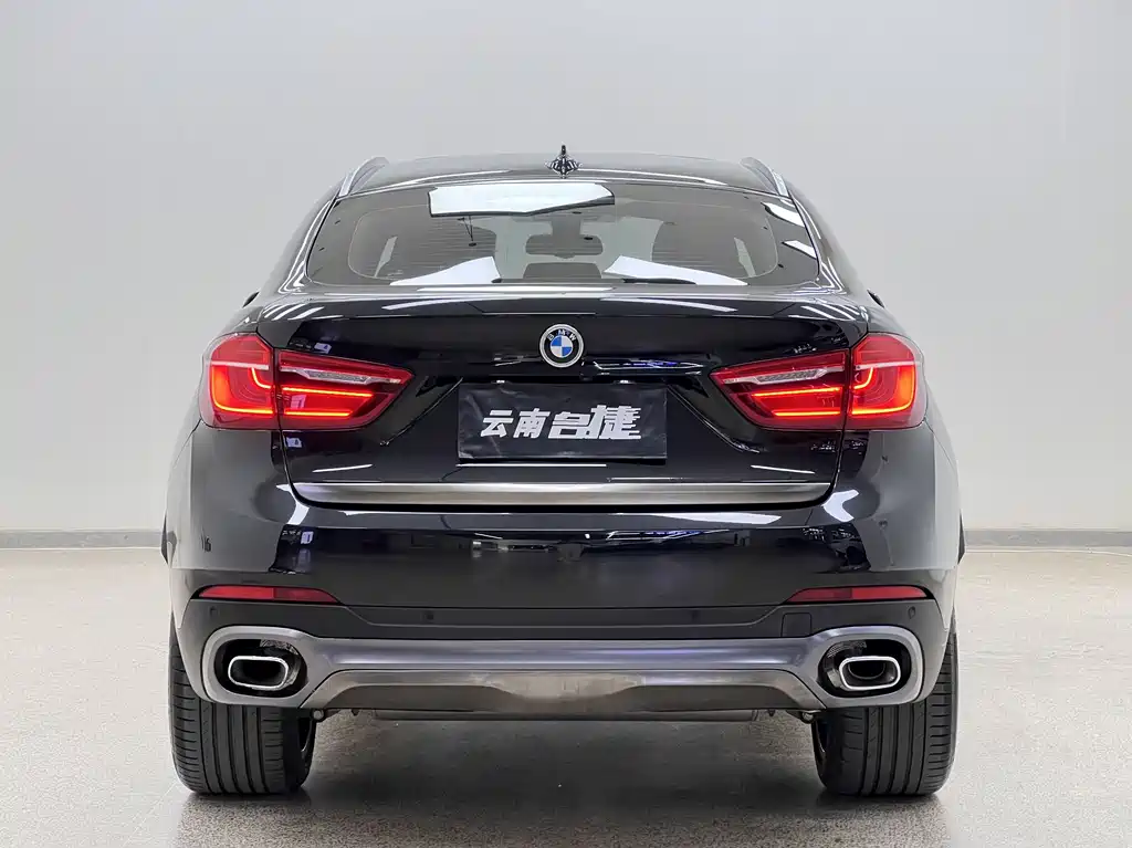 BMW X6 2019 — фото 6