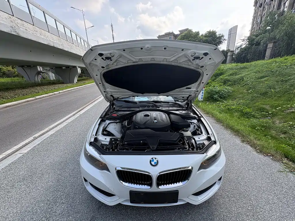 BMW 2 Series 2015 — фото 17