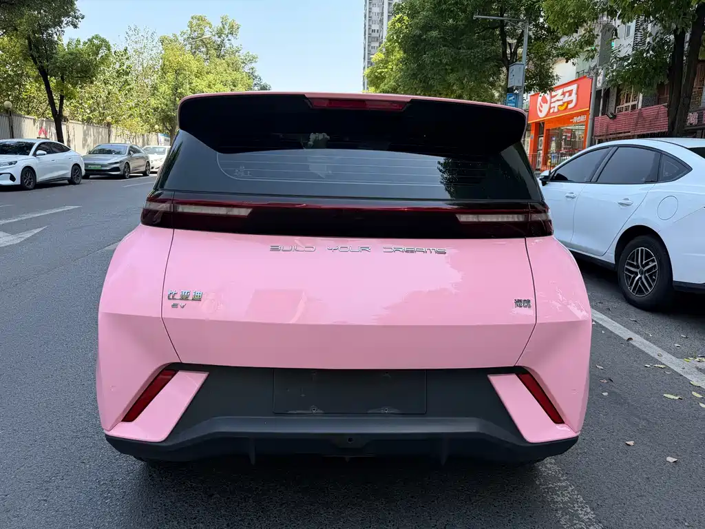 BYD Seagull 2024