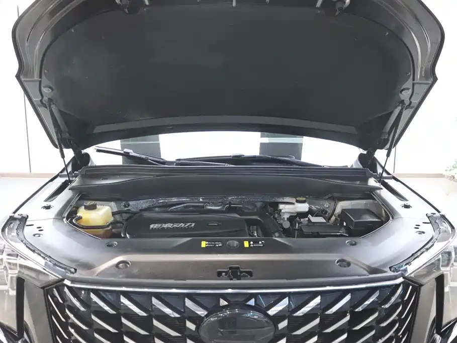 GAC Motor Trumpchi GS8 2022 — фото 32