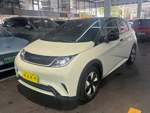 BYD Dolphin 2024