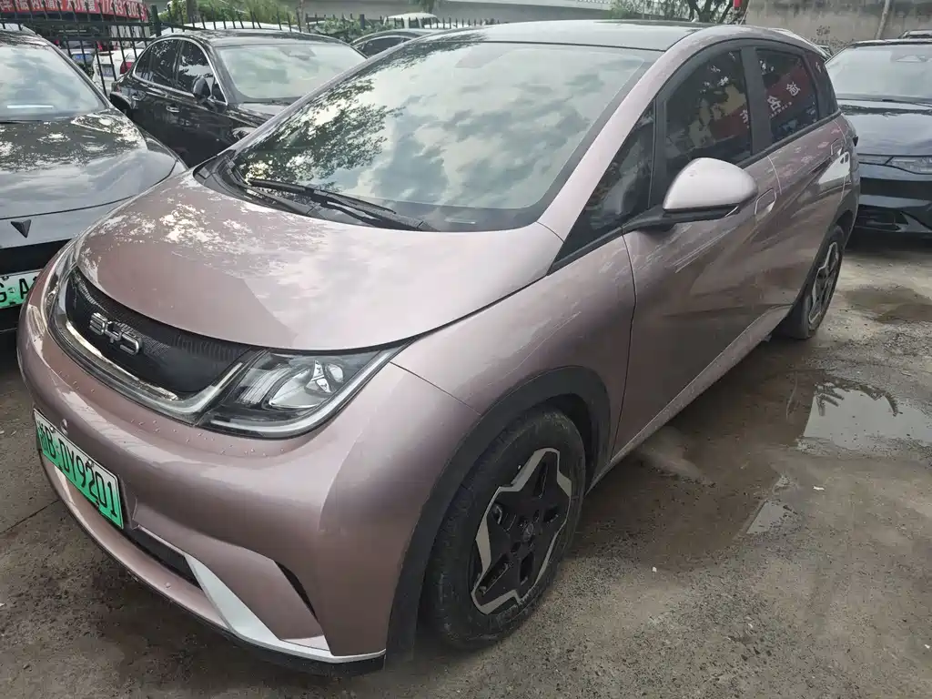 BYD Dolphin 2022