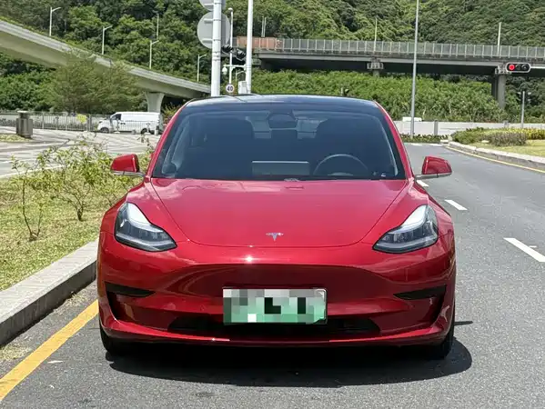 Tesla Model 3 2020