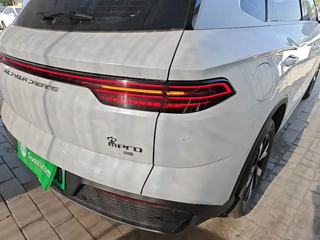 BYD Pro New Energy 2024 — фото 8