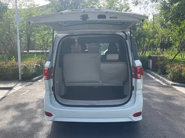 Maxus G10 2019
