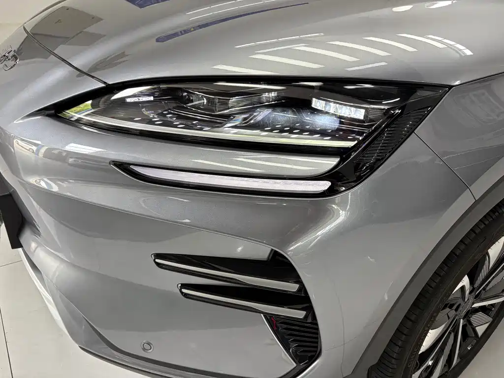 BYD PLUS New Energy 2024 — фото 18