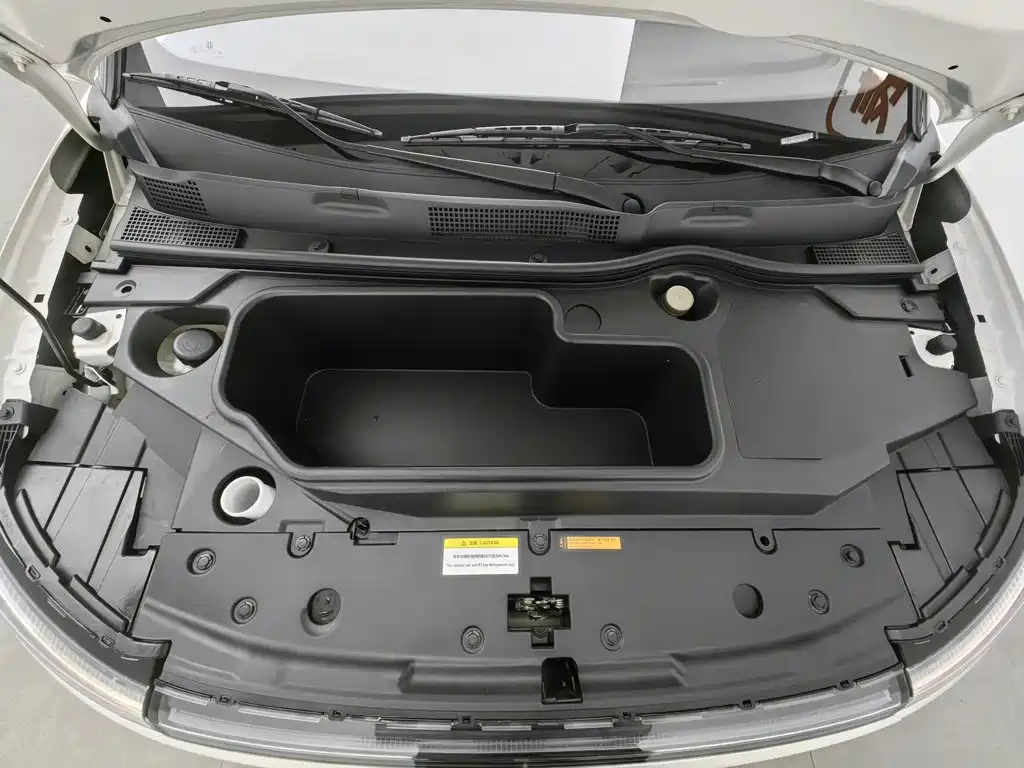 Dongfeng Nano 01 2025