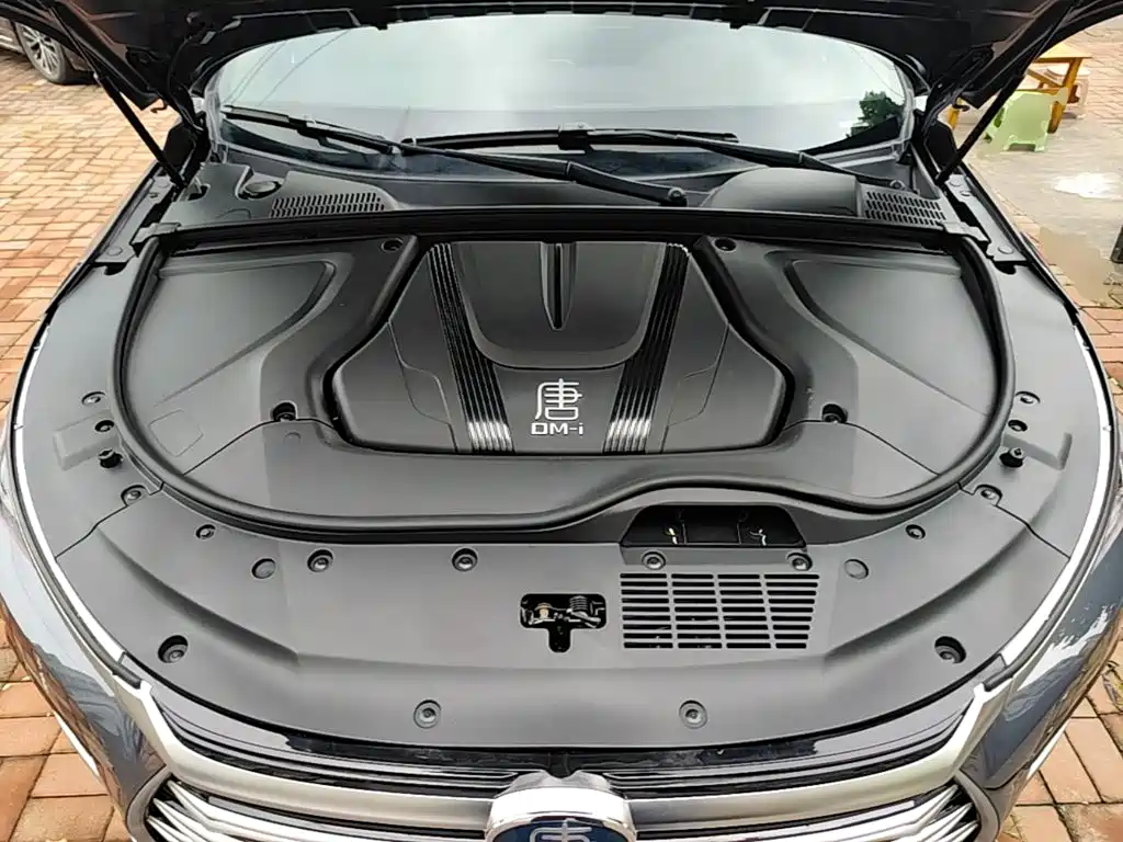 BYD Tang New Energy 2023 — фото 20