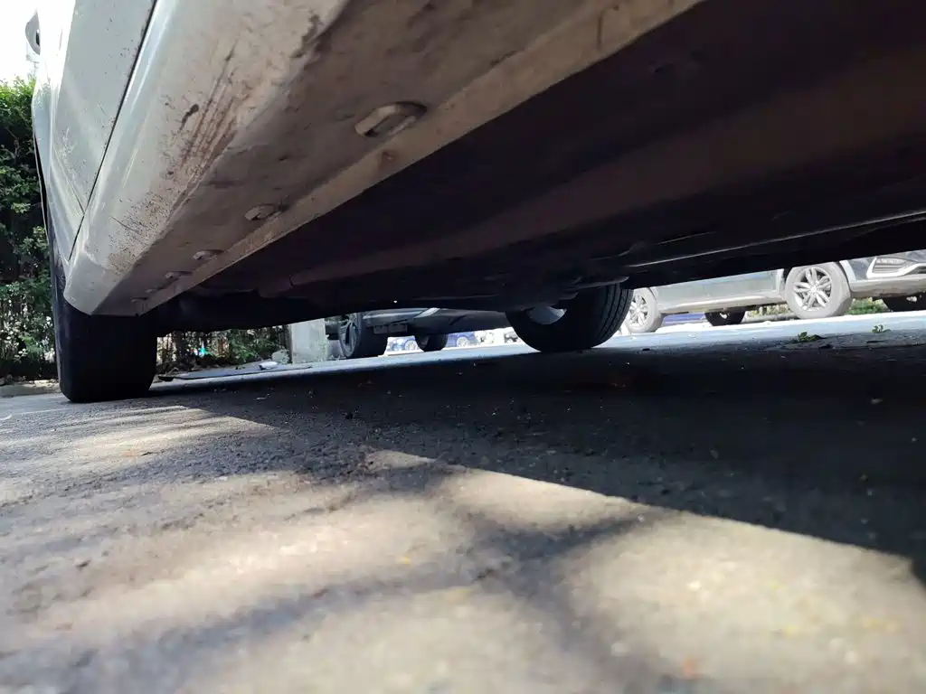 MG 5 2021 — фото 16