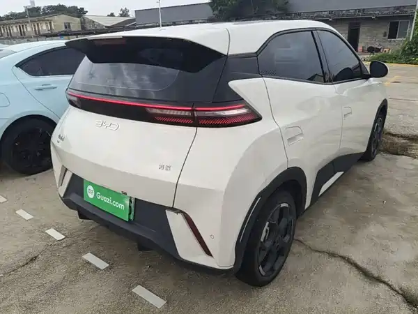 BYD Seagull 2024