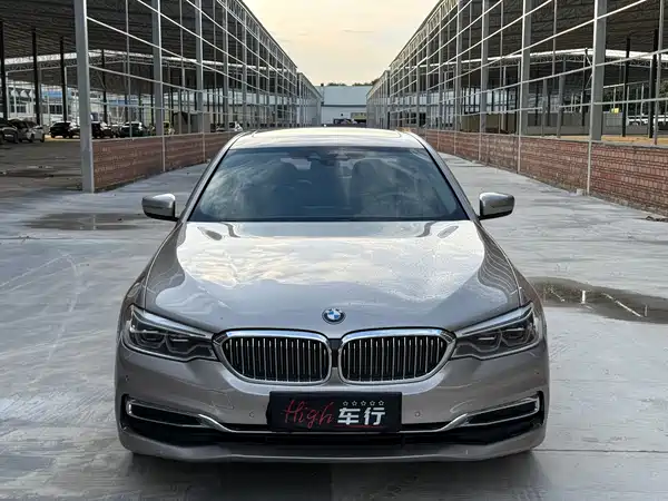 BMW 5 Series New Energy 2020