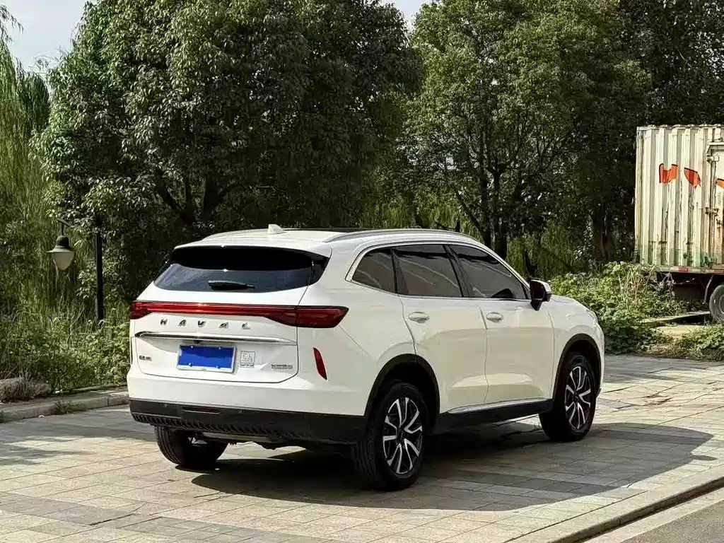 Haval H6 2021 — фото 9