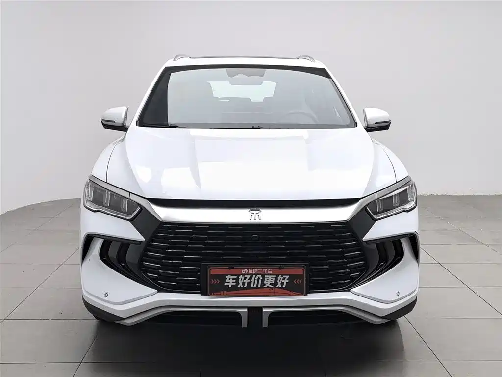 BYD Pro New Energy 2024 — фото 3