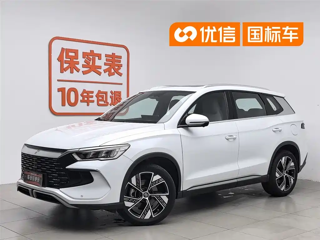 BYD Pro New Energy 2024 — фото 1