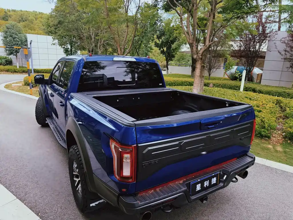 Ford F-150 Raptor 2019 — фото 9