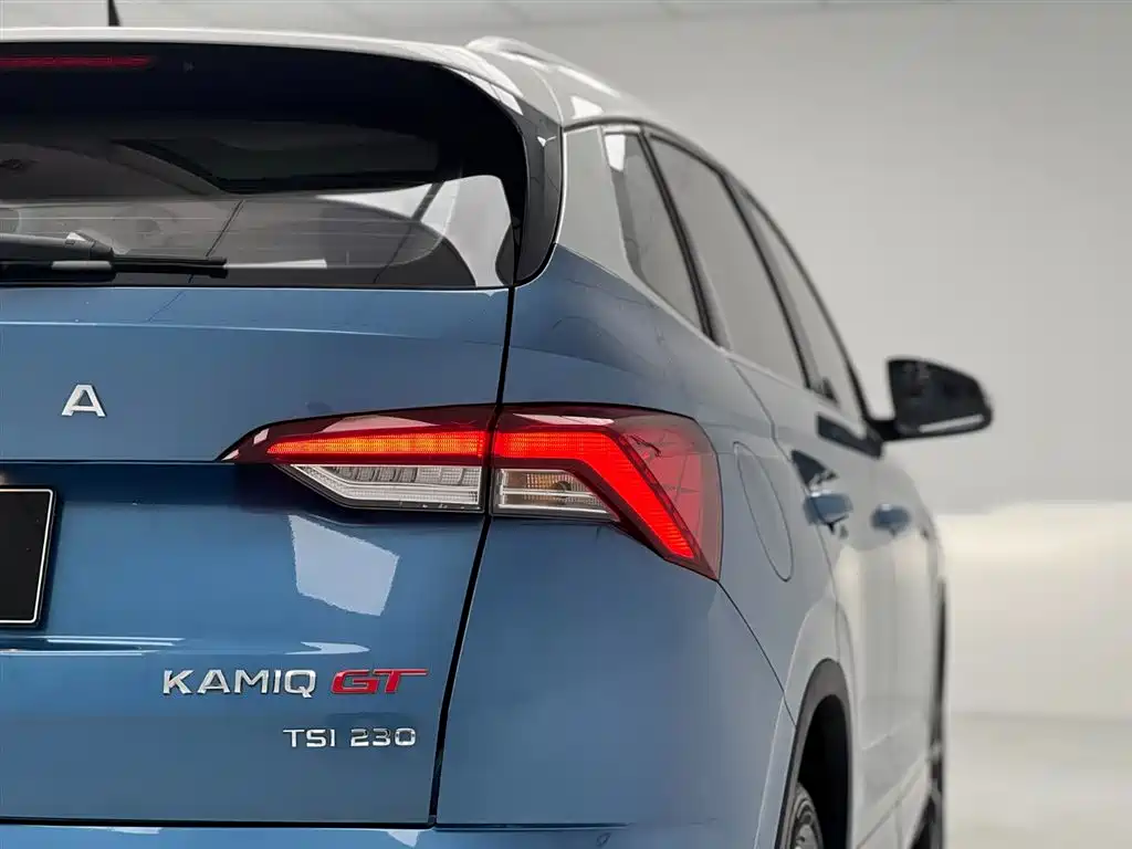 Skoda Kamiq 2020 — фото 10