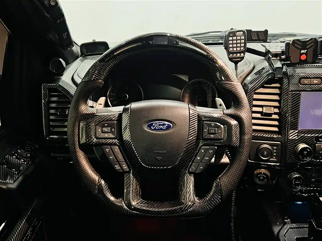 Ford F-150 Raptor 2019 — фото 13