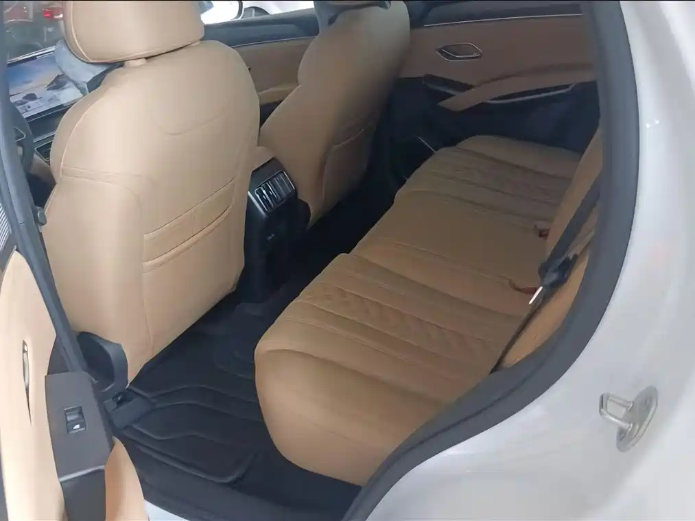 BYD L DM-i 2024 — фото 13