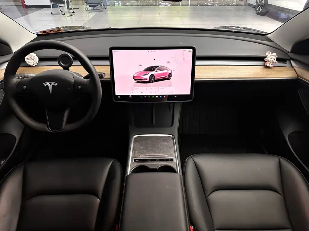 Tesla Model 3 2023 — фото 10