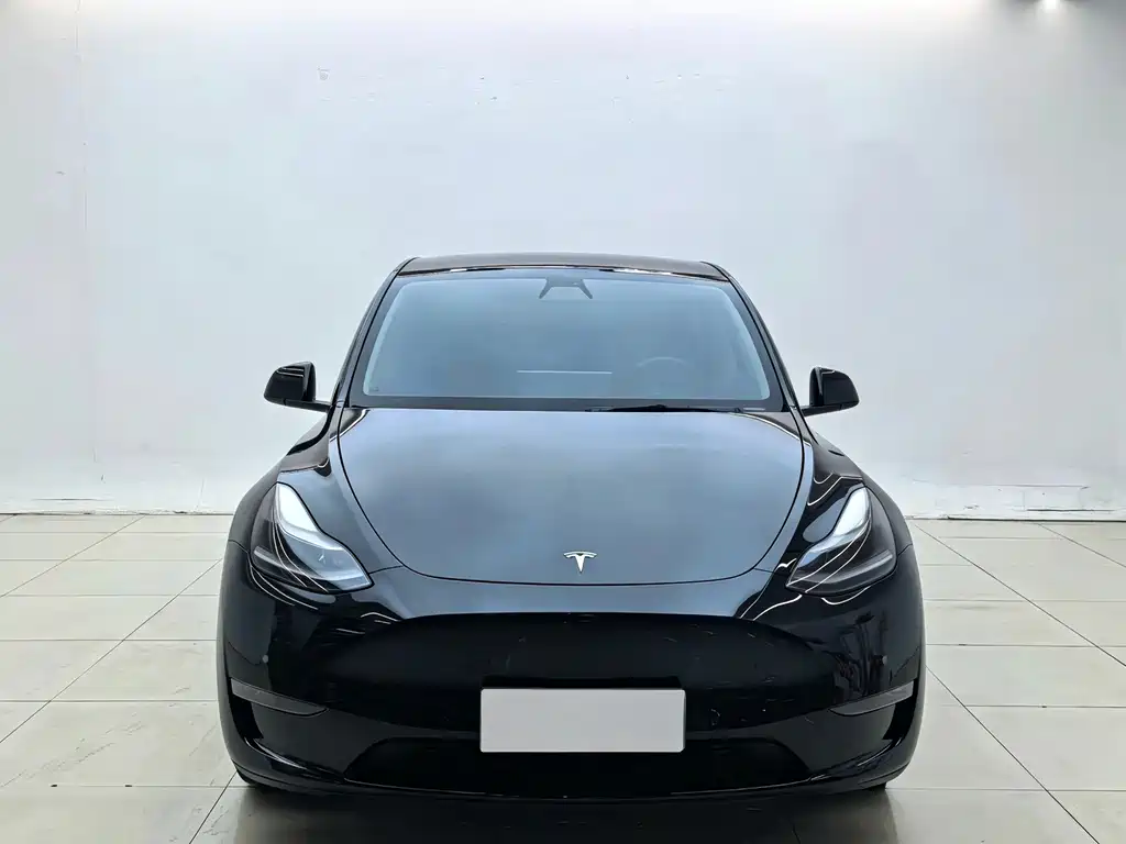 Tesla Model Y 2021 — фото 2