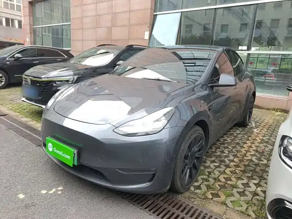 Tesla Model Y 2021