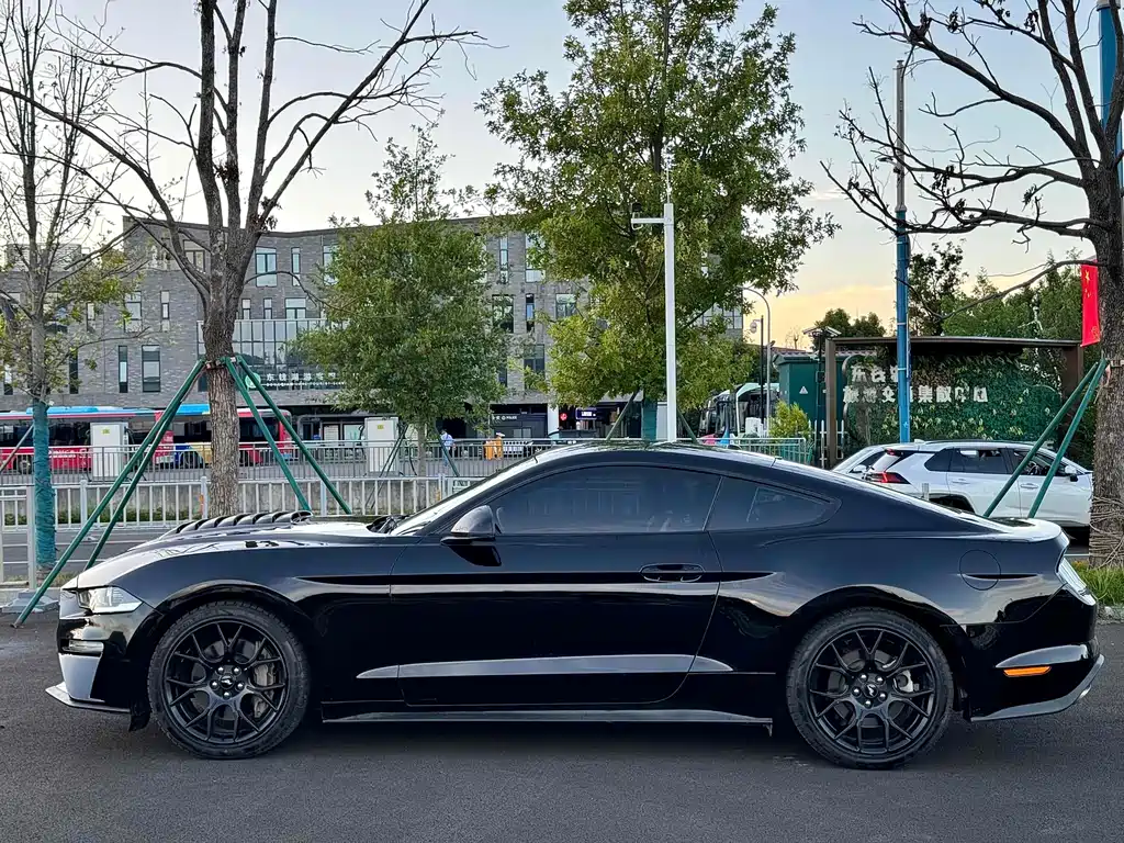 Ford Mustang 2019 — фото 11