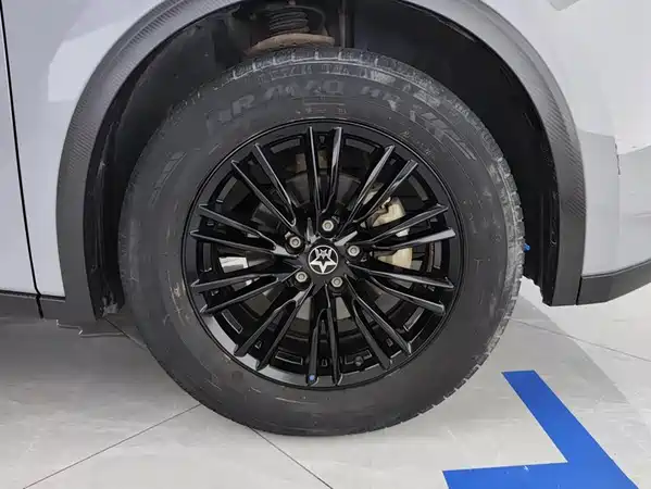 Venucia Big V 2022