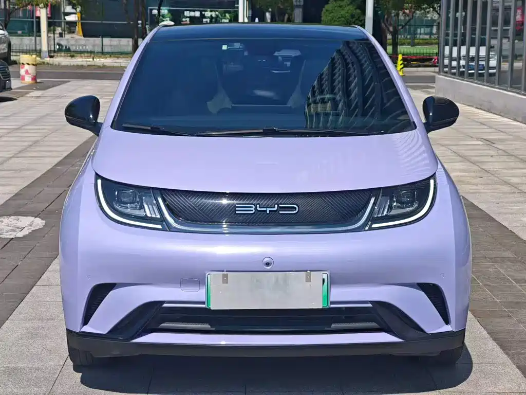 BYD Dolphin 2024