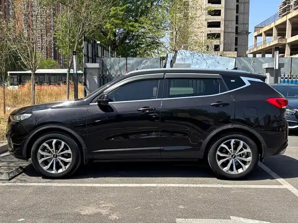 Wey VV6 2020