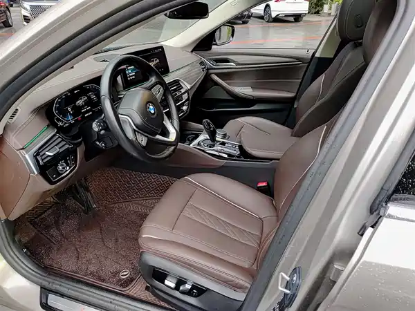 BMW 5 Series New Energy 2021