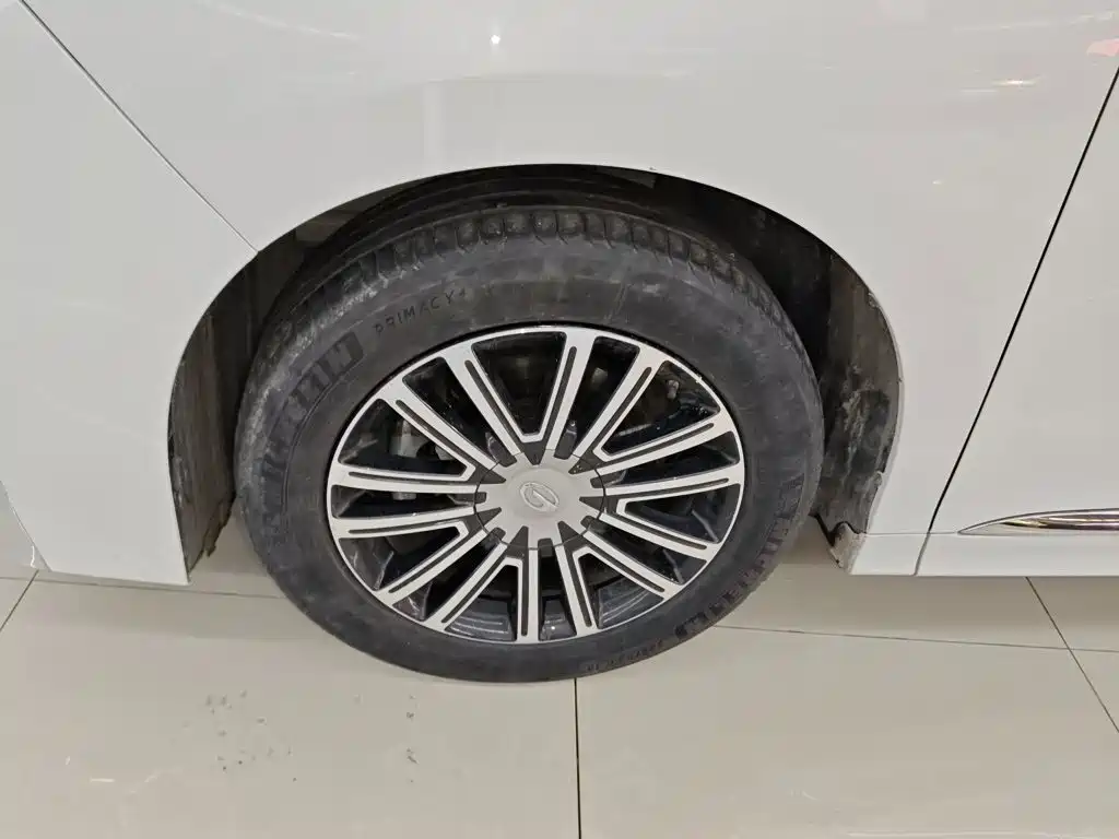 GAC Trumpchi M8 2022 — фото 25
