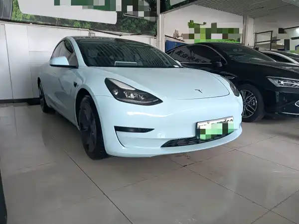 Tesla Model 3 2021