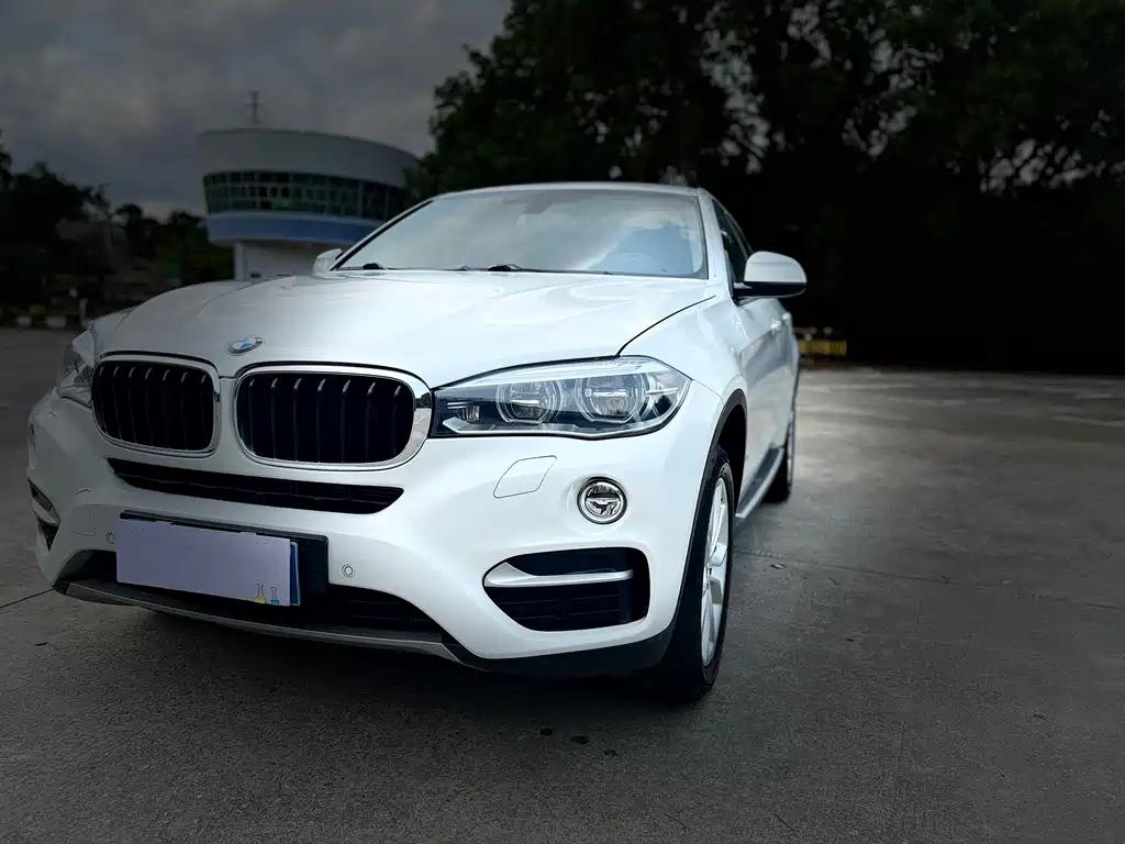 BMW X6 2017 — фото 15