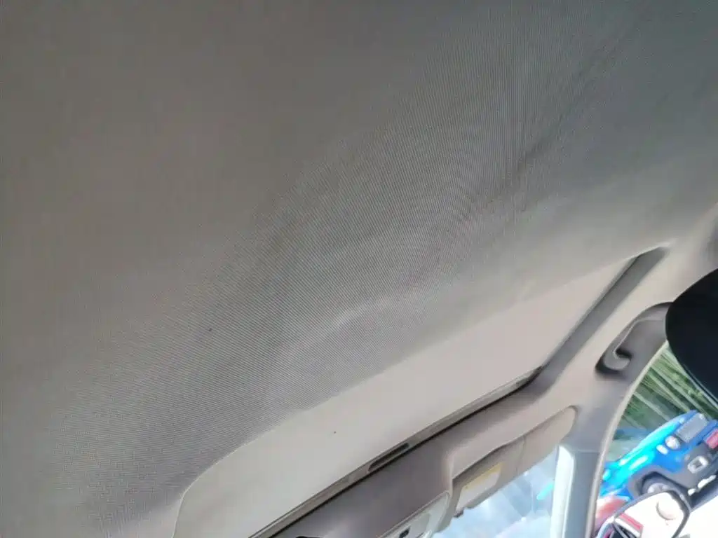 MG 6 2019 — фото 18