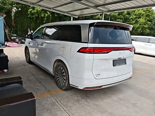 BYD Summer 2025