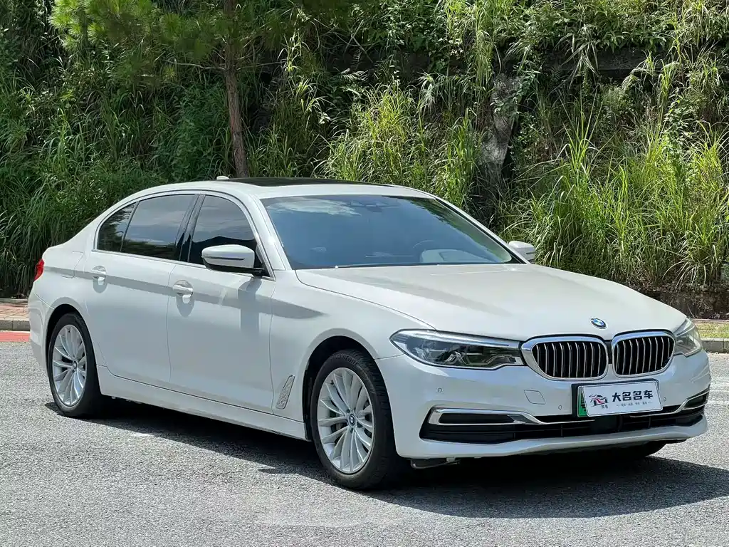 BMW 5 Series New Energy 2019