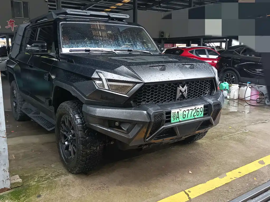 Mengshi 917 2025