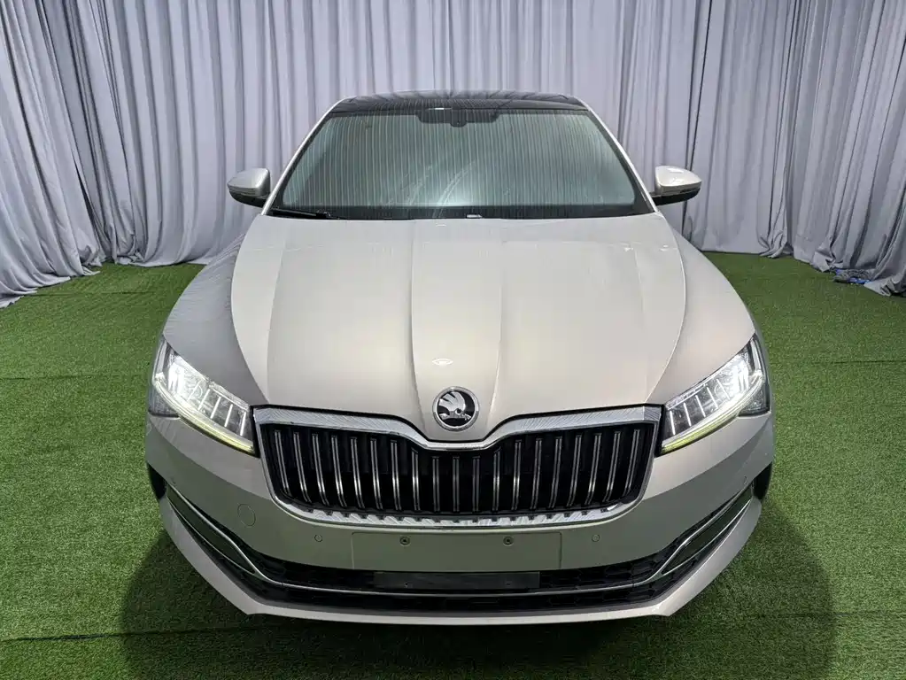 Skoda Speedy 2022