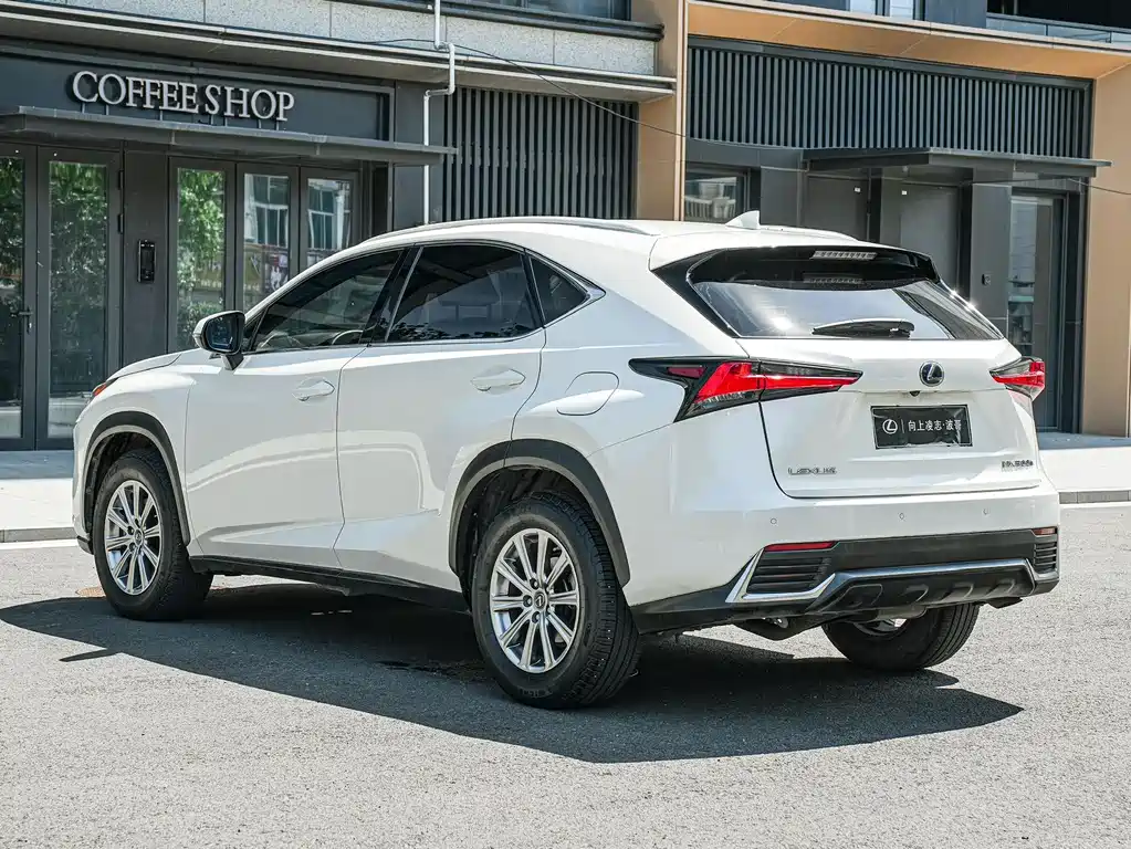 Lexus NX 2019