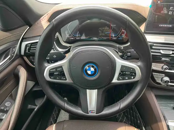 BMW 5 Series New Energy 2022
