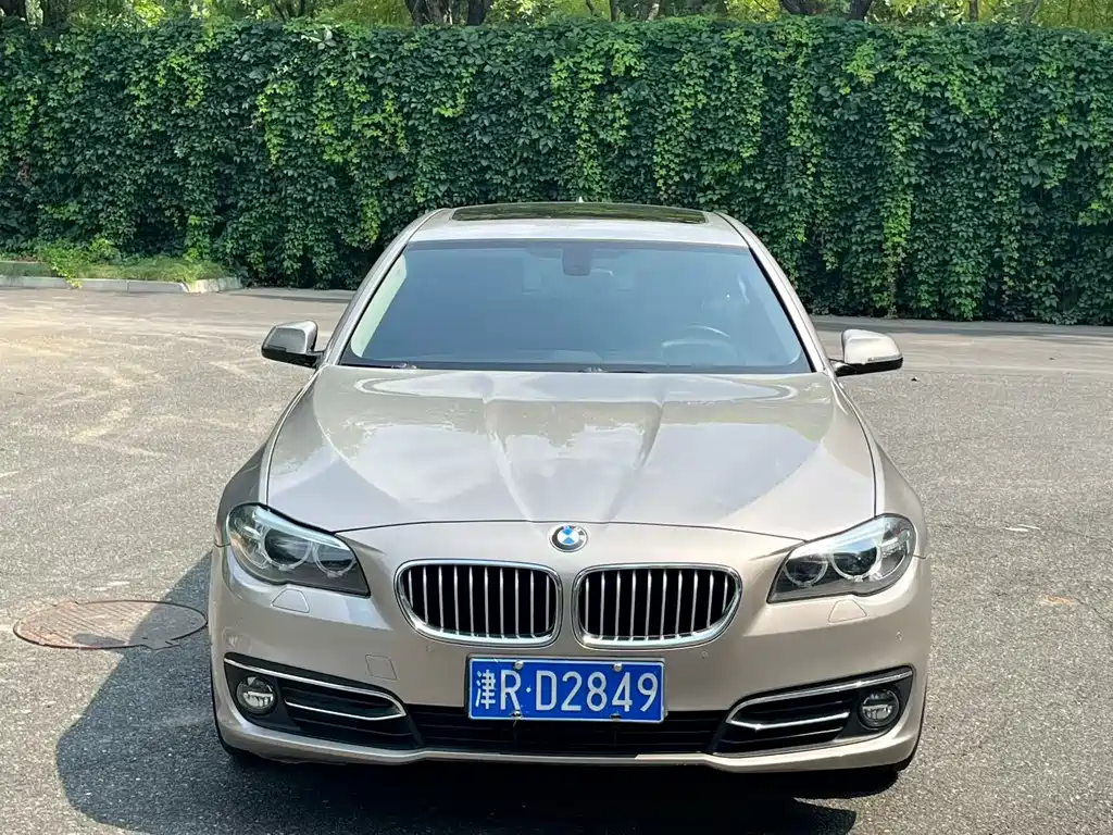 BMW 5 Series 2015