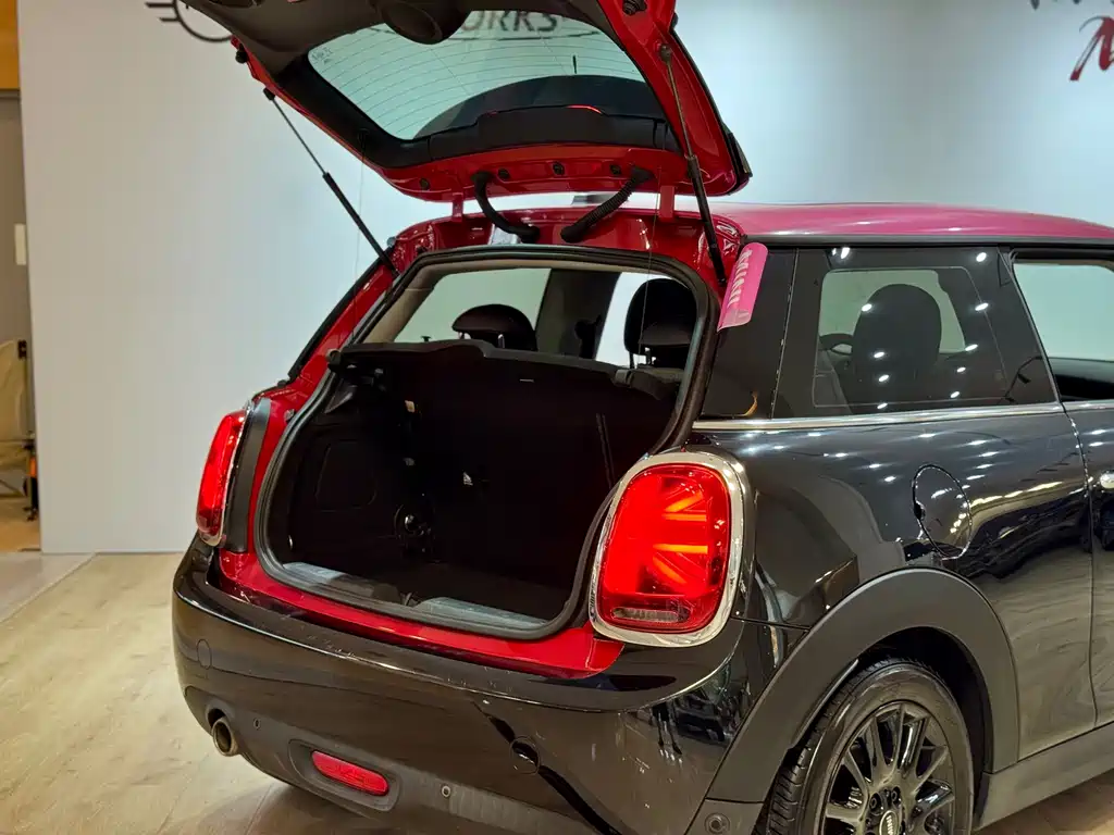 MINI MINI 2019