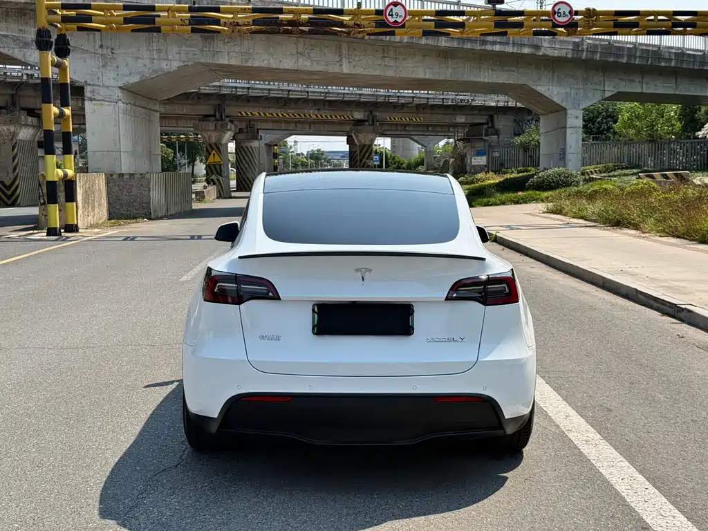 Tesla Model Y 2023 — фото 4