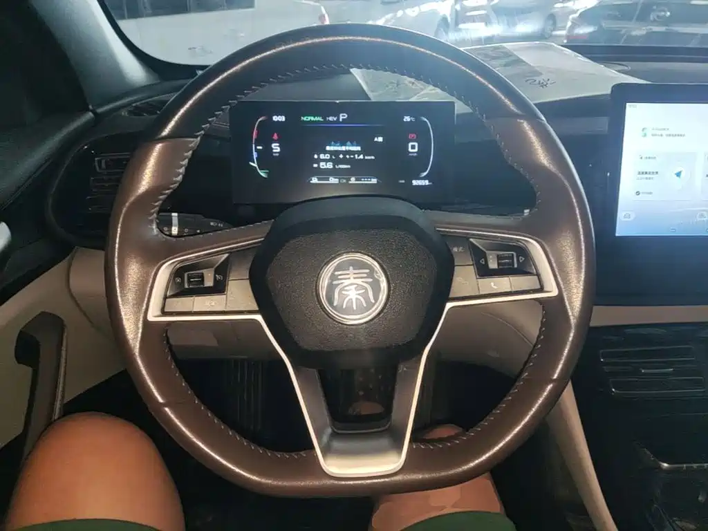 BYD Qin PLUS 2023 — фото 11