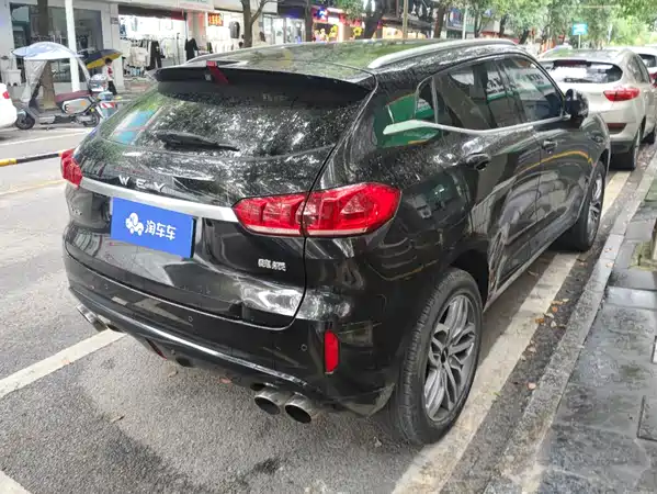 Wey VV5 2019