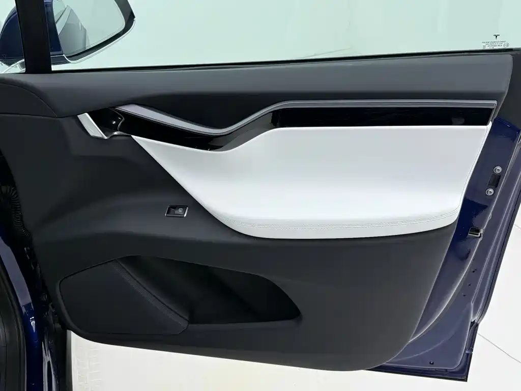 Tesla Model X 2020 — фото 12