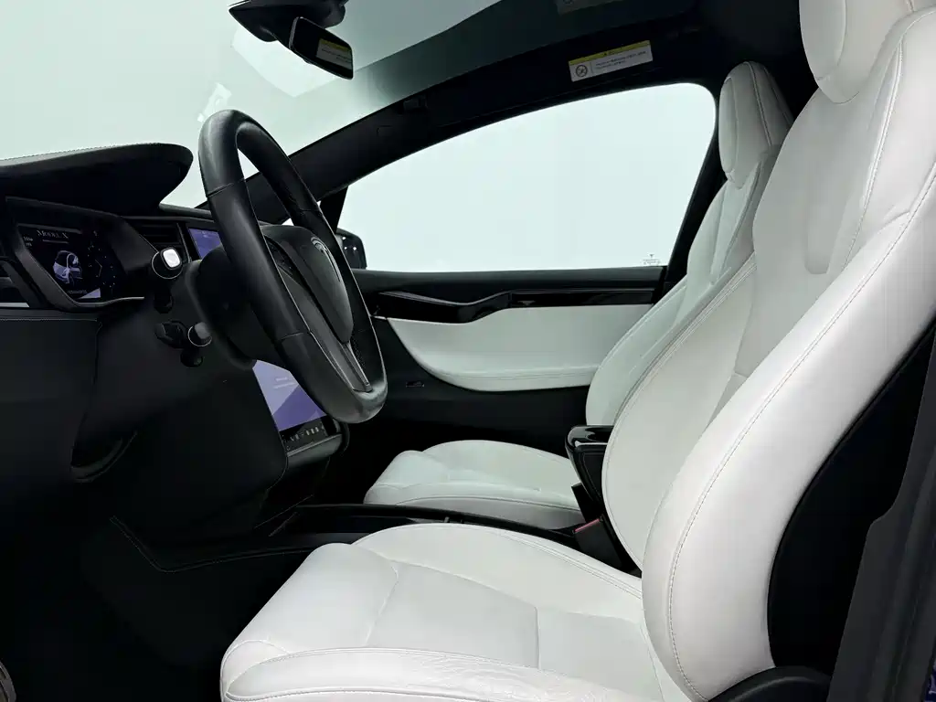 Tesla Model X 2020 — фото 19