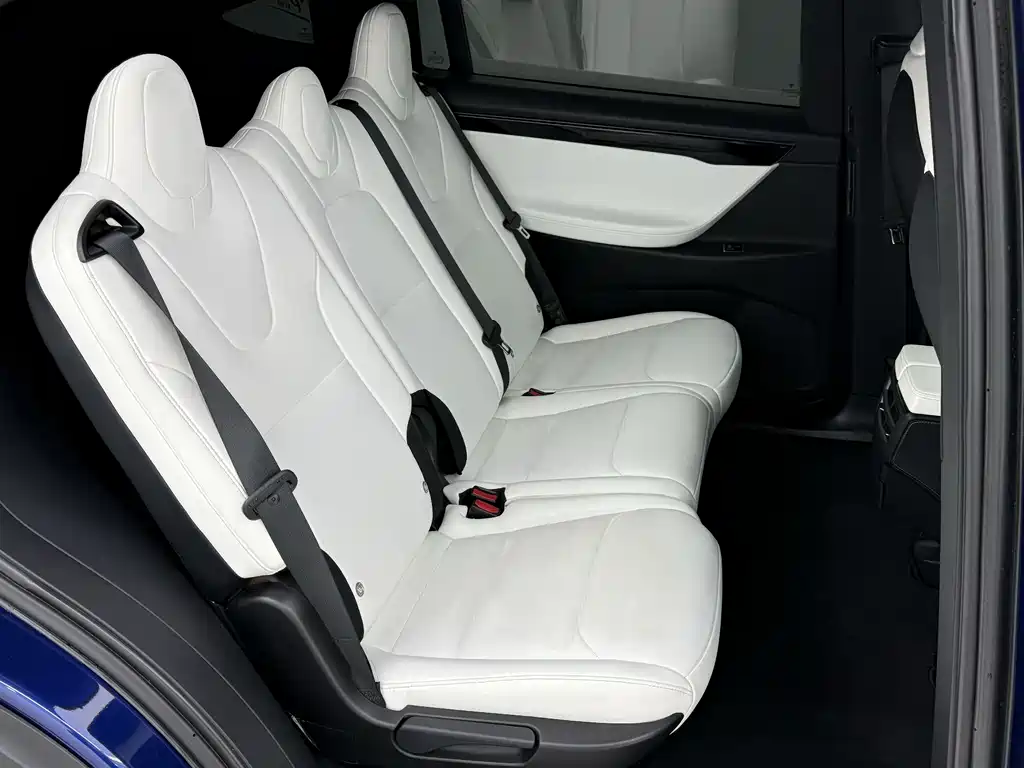 Tesla Model X 2020 — фото 10