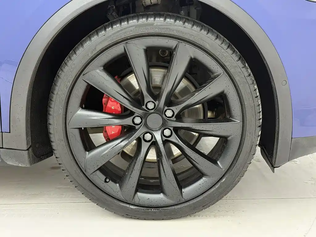 Tesla Model X 2020 — фото 16
