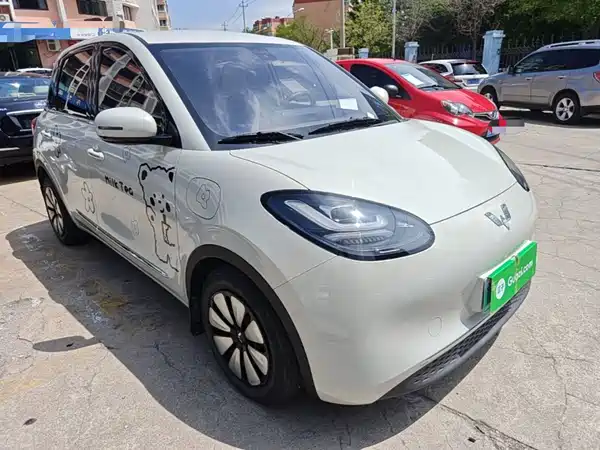 Wuling Bingo 2024